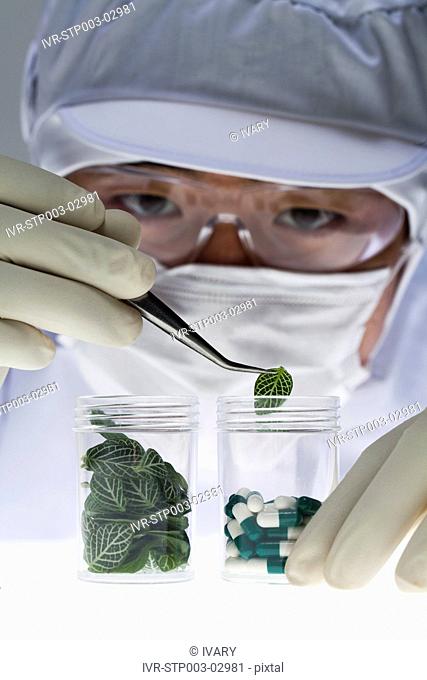 Scientist Inserting The Leaf In Capsules Bottle