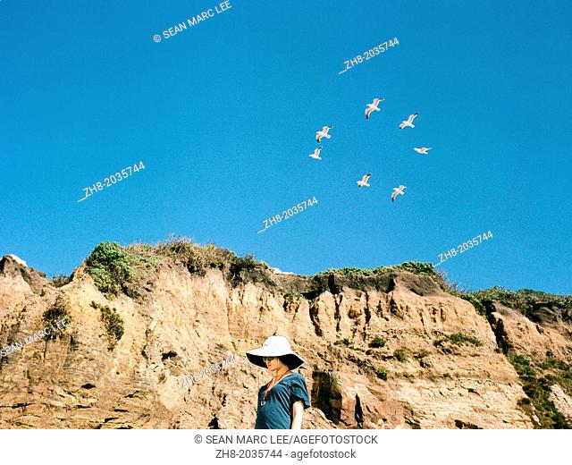 A woman in beach clothes stands below a cliff as seagulls fly overhead along the coast of Northern California's Pacific Coast Highway