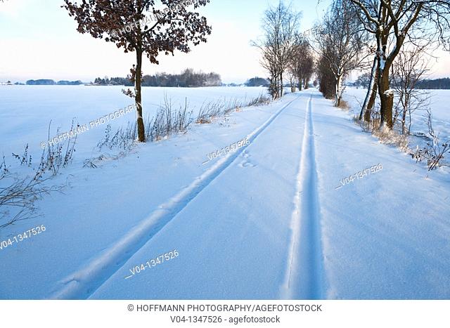 Car tracks in the snow, Lower Saxony, Germany, Europe