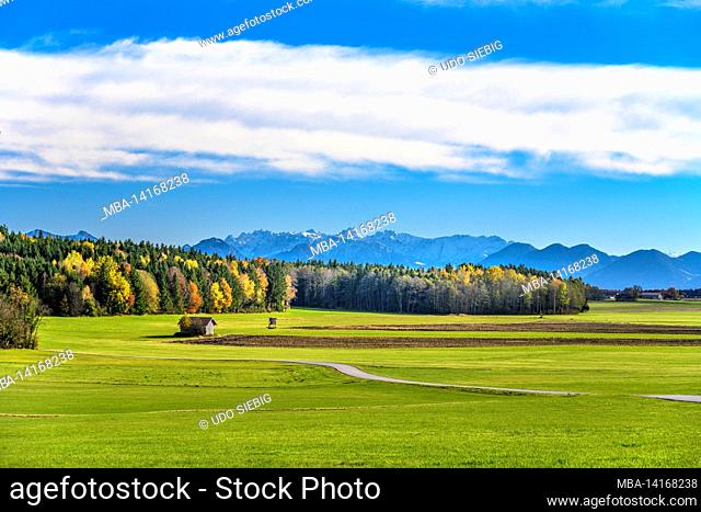 germany, bavaria, upper bavaria, ebersberg district, baiern, district pflege, autumn landscape against kaiser mountains