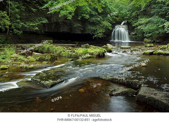 View of waterfall, Cauldron Falls, Walden Beck, River Ure, West Burton, Wensleydale, Yorkshire Dales N.P., North Yorkshire, England, August