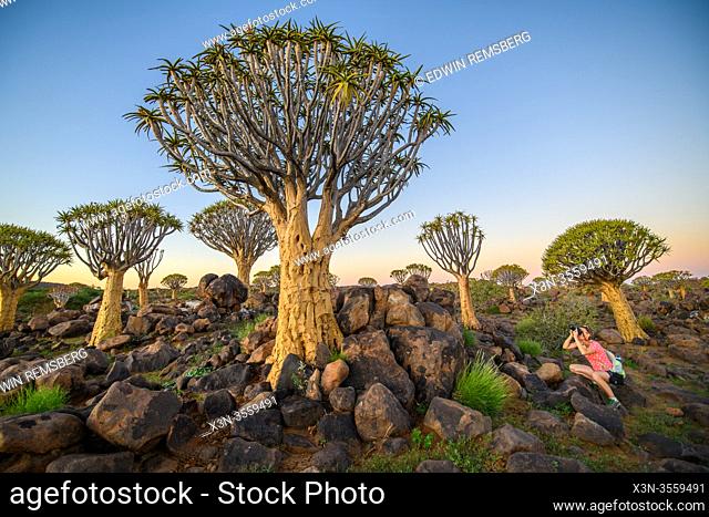 Woman taking photograph with camera at Quiver Tree Forest - Keetmanshoop Namibia