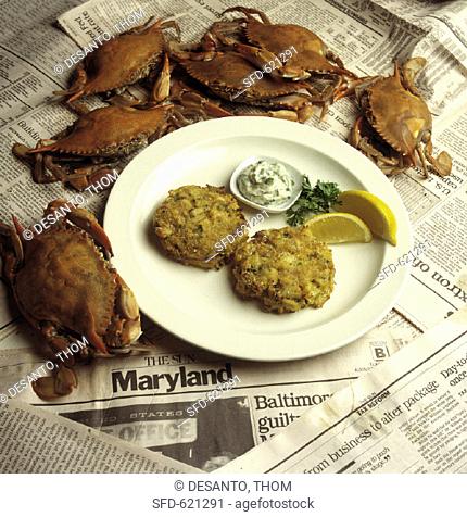 Maryland Crab Cakes, Whole Crabs