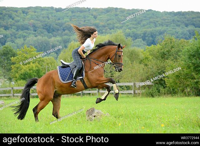 Teenage girl jumping with a Mecklenburger horse on a paddock