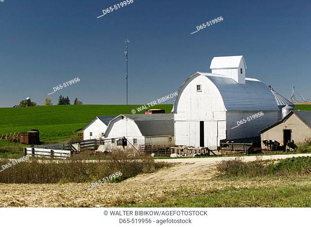Farm. Field along Rt. 52. Northeast Iowa. Rickardsville. Iowa. USA