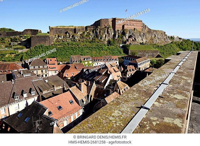 France, Territoire de Belfort, Belfort, Place d Armes, from the top of a tower of Saint Christophe cathedral, overlooking the old town castle and the Lion
