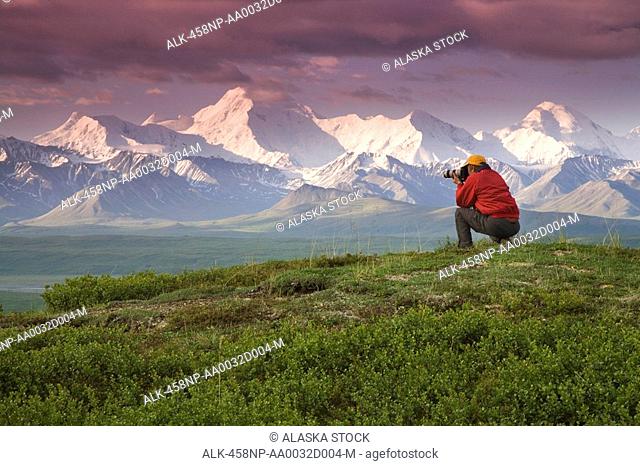 Male tourist views Mt.Mckinley & Alaska Range near Wonder Lake Denali National Park Alaska Summer