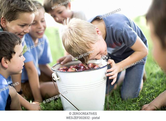 Boy trying to take apple out of bucket with water