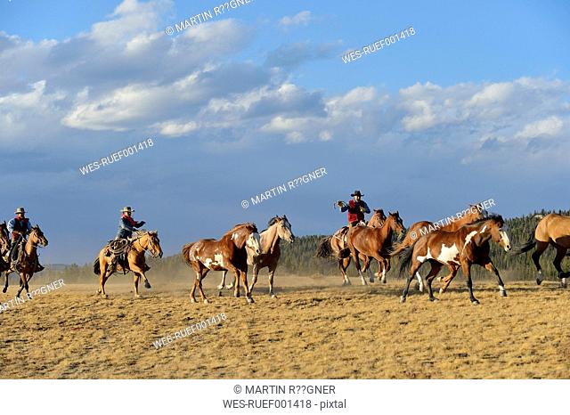USA, Wyoming, cowboys and cowgirl herding horses in wilderness