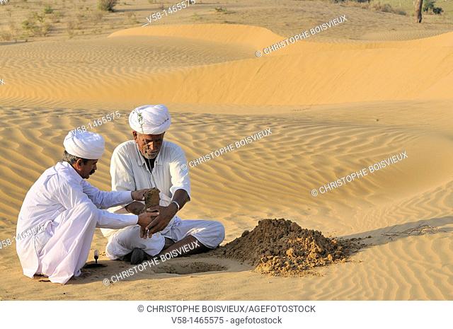 India, Rajasthan, 'Tree friend' Rana Ram Bishnoi planting a Khejri tree  Rana Ram is famous for having planted around 24000 trees in almost half a century