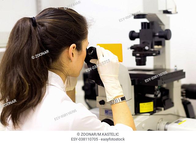 Life science researcher microscoping in genetic scientific laboratory