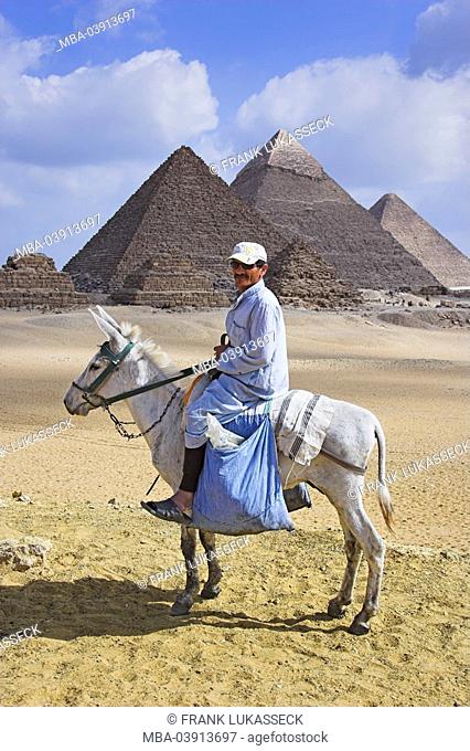 Egypt, Cairo, Giseh, pyramids, donkey-riding