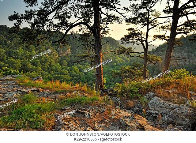 Rocks and forest overlooking Cedar Creek Canyon, Petit Jean State Park, Arkansas, USA