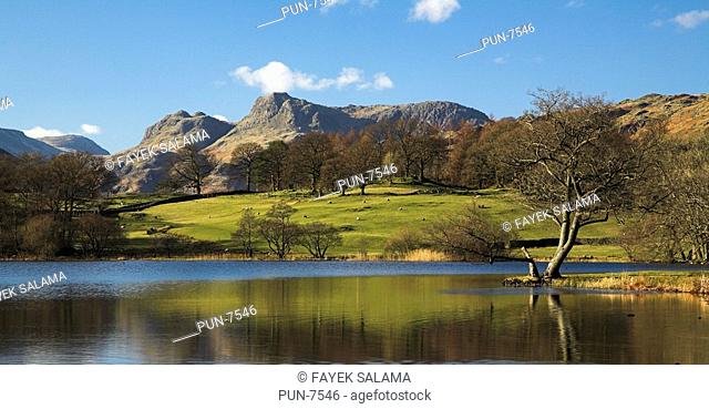 A view of the Langdale Pikes taken from Loughrig Tarn on a sunny day