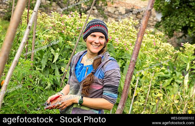 Austria, Schiltern, Alternative gardener at tobacco plant