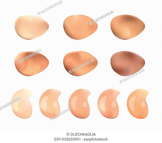 Vector Illustration of Color Shades Palette For Foundation Make Up. Isolated On White Background