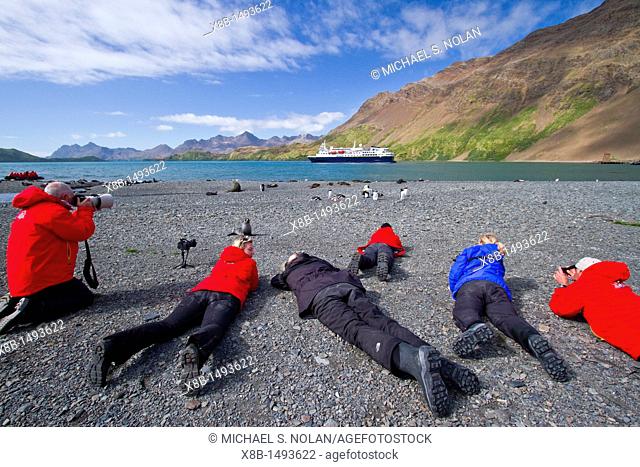 Guests from the Lindblad Expedition ship National Geographic Explorer photographing wildlife in Stromness Bay on South Georgia