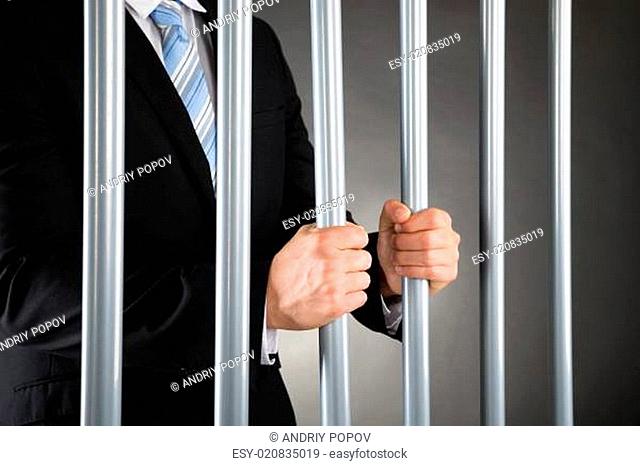 Businessman In Jail