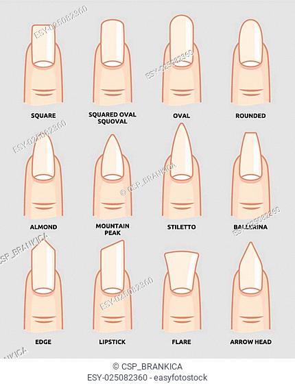 Nail shape set, Stock Vector, Vector And Low Budget Royalty Free Image.  Pic. ESY-025082360 | agefotostock