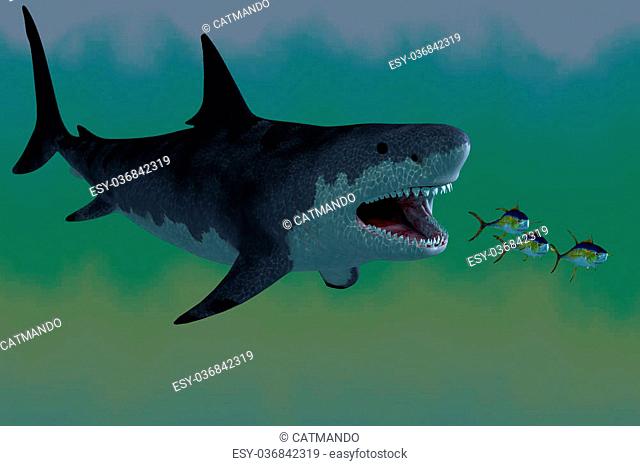 Several Tuna fish try to escape from a huge Megalodon shark in prehistoric times
