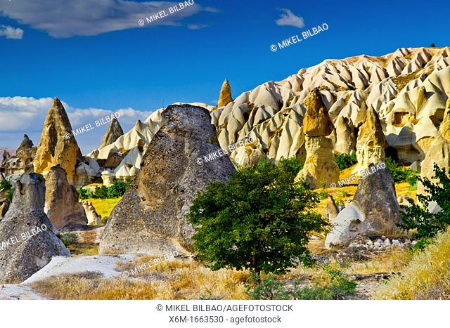 Fairy chimneys  Cappadocia Region  Nevsehir province  Turkey