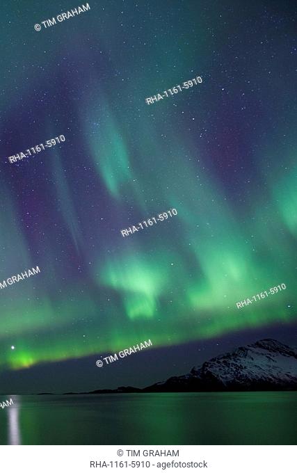 Aurora Borealis spectacular Northern Lights green and purple curtain effect and Venus star at Grotfjord, Kvaloya island, Tromso, Arctic Circle, Northern Norway