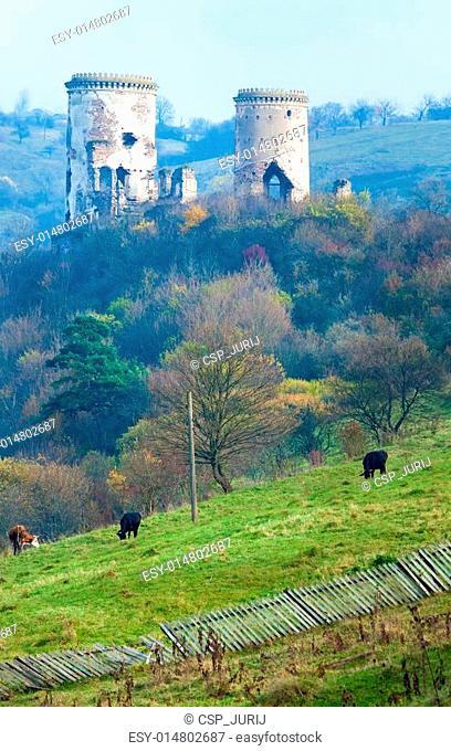 Chervonohorod Castle ruins (Ukraine)