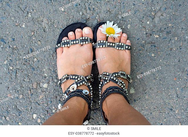 Woman's feet with camomile flower between toes
