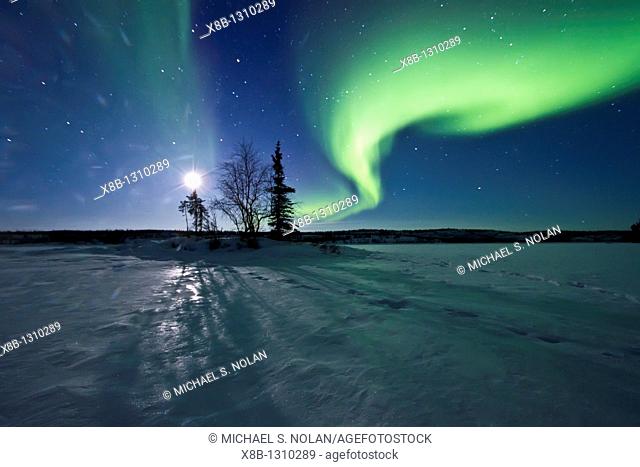 Aurora Borealis Northern Polar Lights and waxing moon over the boreal forest outside Yellowknife, Northwest Territories, Canada