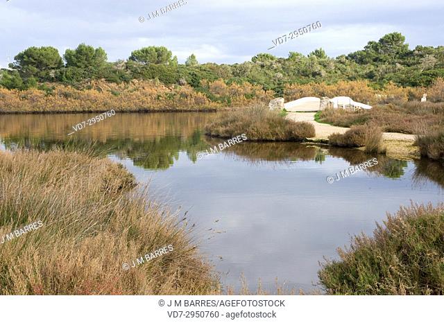 Albufera des Grau Natural Park. Minorca Biosphere Reserve, Balearic Islands, Spain
