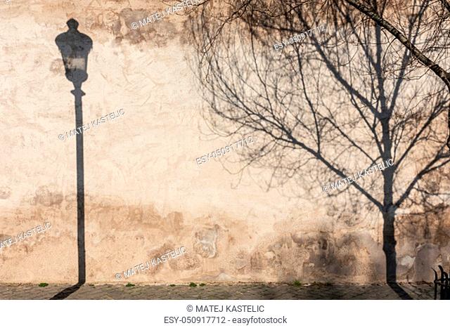 Graphical and textured artisic image of old textured retro wall with vintage street lamp and tree shadow falling on the wall. Urban street background