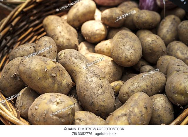 Fresh organic potatoes-Solanum tuberosum