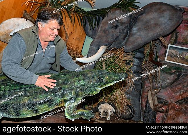 16 November 2022, Brandenburg, Trebus: Thomas Winkler, taxidermist, retrieves a replica of a Nile crocodile from his Africa exhibition