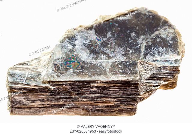 macro shooting of natural mineral stone - stone of Muscovite (Dioctahedral mica, common mica, isinglass, potash mica) isolated on white background