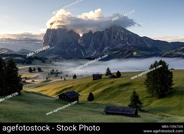 His Alm in the morning with a view of the Langkofel