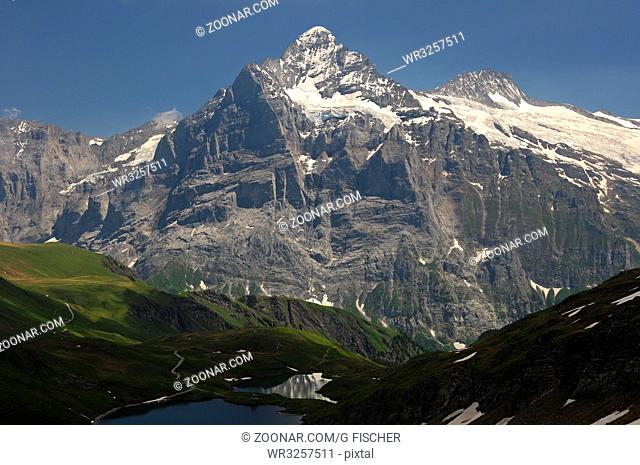 Schweizer Alpenkette mit Scheideggwetterhorn, Wetterhorn und Mittelhorn v.l.n.r., Bachalpsee im Vordergrund, Grindelwald, Berner Oberland