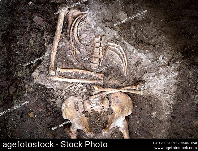28 May 2020, Saxony-Anhalt, Zeitz: A burial without head was uncovered by employees of an excavation in the area of the former Posa monastery near Zeitz