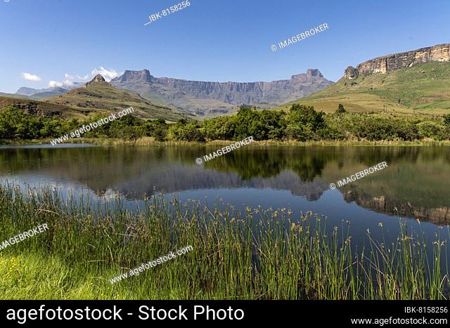 Amphitheatre, Drakensberg, Thendele, Royal Natal National Park, KwaZulu Natal, South Africa, Africa
