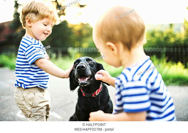 Toddler and his little sister stroking dog outdoors