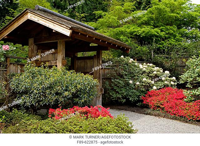 Gravel path leads to Yao Japanese Garden entrance gate framed by 'Hino Crimson' Azaleas (Rhododendron 'Hino Crimson'). Bellevue Botanical Garden, WA