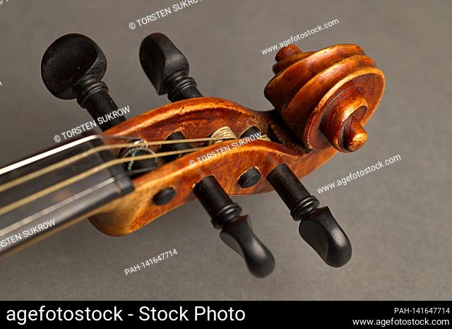The pegbox with the four conical pegs on an old violin. The violins are tuned on the pegs. The pegbox ends in a snail, which is made of finely carved wood