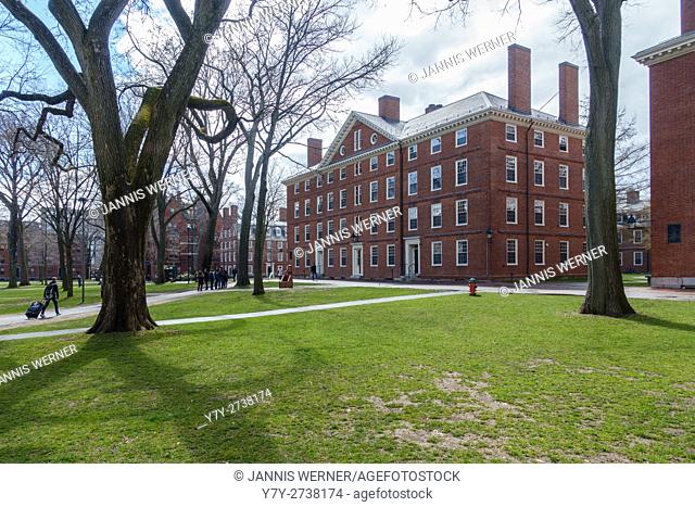 View of Harvard University campus on a sunny day in spring, Cambridge, MA, USA