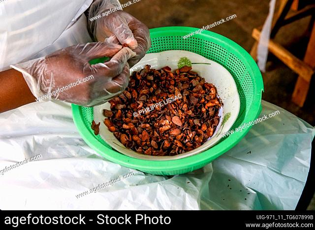 Cocoa processing in Kpalime, Togo