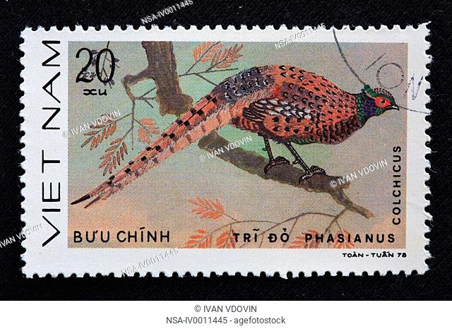 Common Pheasant Phasianus colchicus, postage stamp, Vietnam, 1978