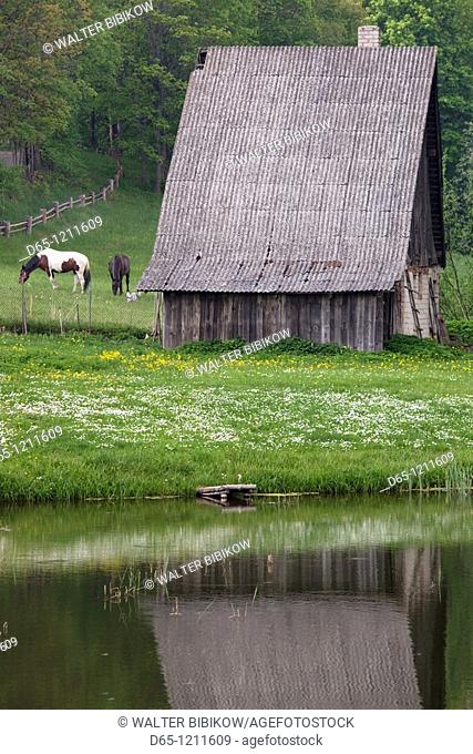 Latvia, Northeastern Latvia, Vidzeme Region, Gauja National Park, Sigulda, Turaida Museum Reserve, barn with horse