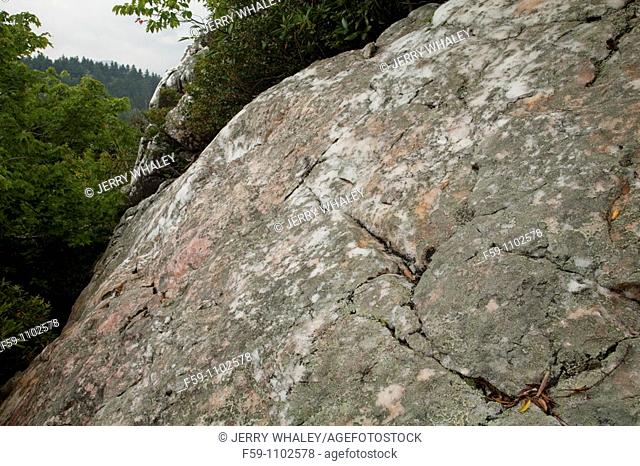 Shining Rock Wilderness Area, Pisgah National Forest, North Carolina, USA