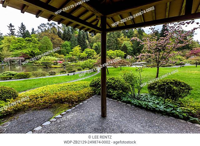 View from an azumaya, a resting shelter, in April in the Japanese Garden, located in the University of Washington Botanic Gardens and the Washington Park...