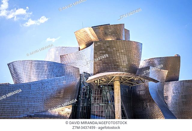 Museo Guggenheim. Bilbao. Vizcaya. País Vasco. España