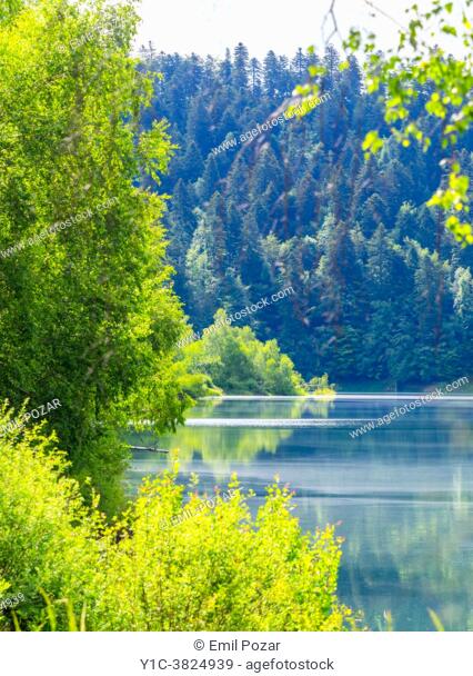 Stunning Green nature in Spring Bajer lake Fuzine in Croatia