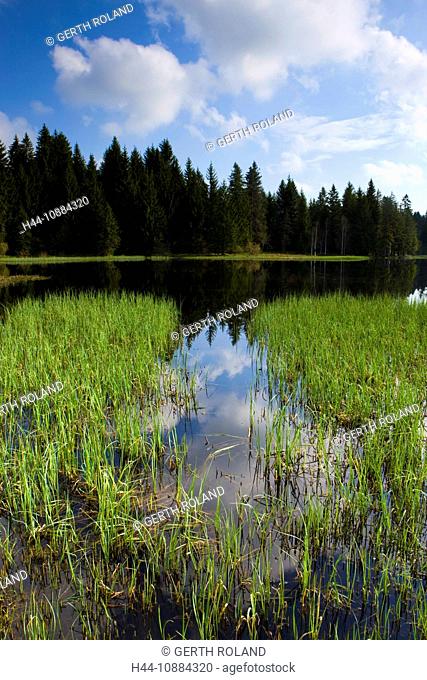 Etang de la Gruère, Switzerland, Europe, canton Jura, lake, sea, moor lake, lake shore, bog plant, wood, forest, reflection, clouds